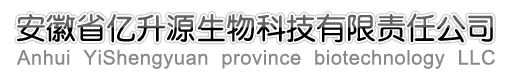 _W(wng)ꖾW(wng)j(lu)˾